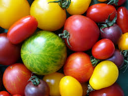 tomatenvielfalt